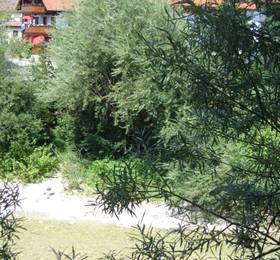 Отдых в Achen Apartment  - Австрия, Крамзах