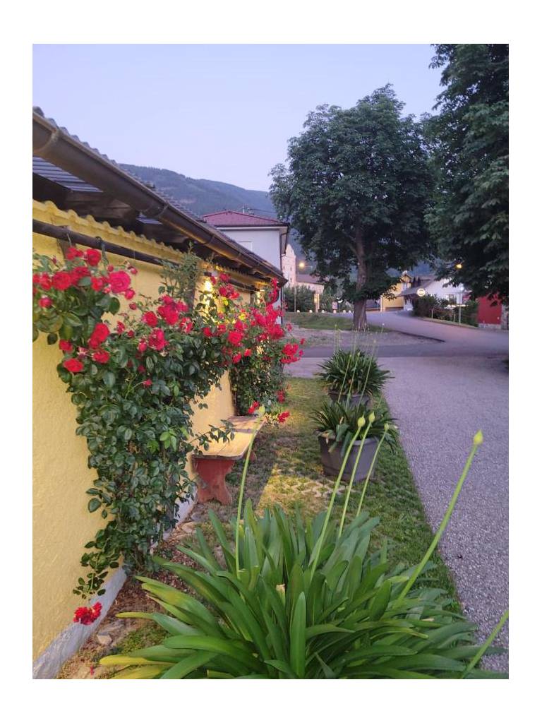 Pension & Ferienwohnung Dullnig