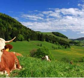 Туры в Hotel Sassenhof  в Германии