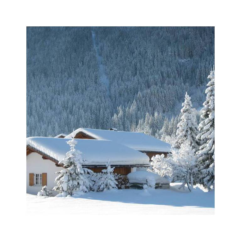 Pension Demlhof 