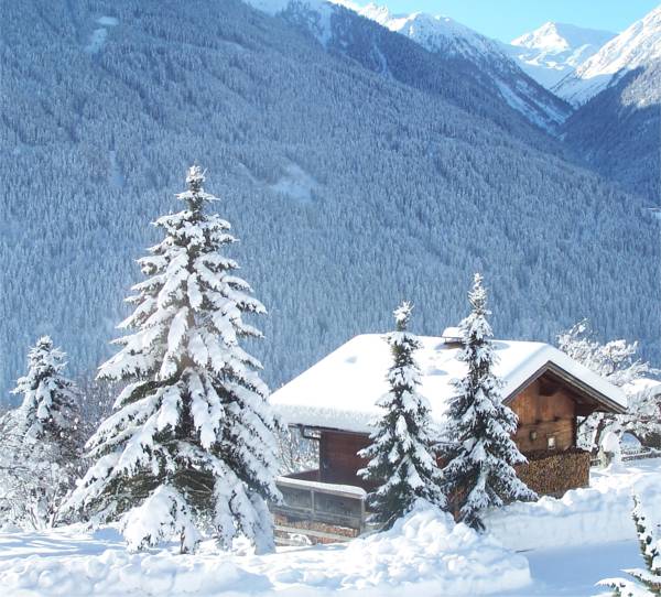 Haus Rabenstein  Австрия, Фирген