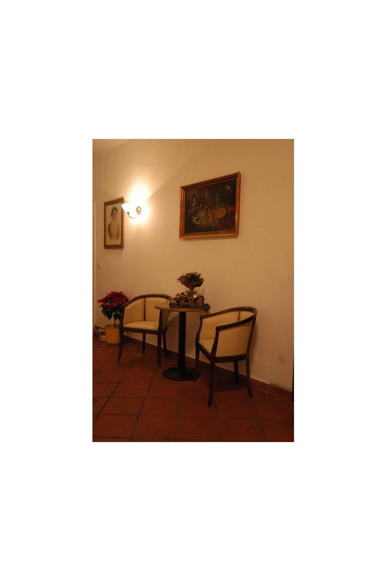 Hotel Alt Wien 