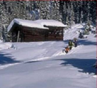 Haus Silvretta Австрия, Зее