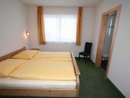 Wohnung 14 Pax 4* Австрия, Каппль