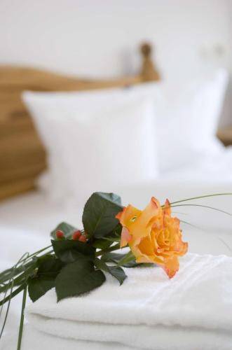 Hotel Seeburg  3* Германия, Букстехуде