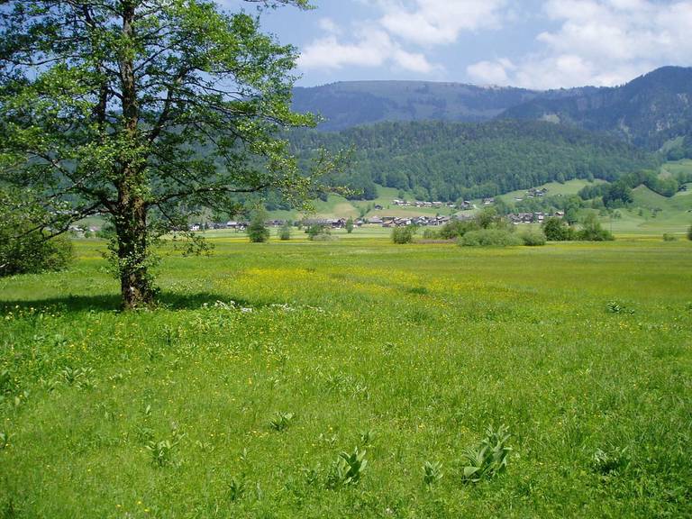 Gasthof Taube 