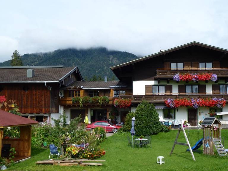 Wiesingbauer 