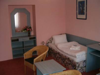 Hotel Stella  3* Чехия, Пльзень