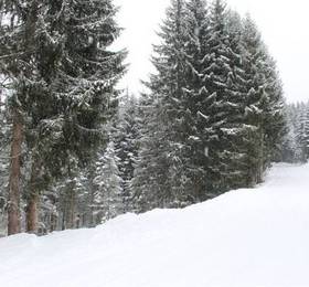 Rettenwender  в Фильцмосе