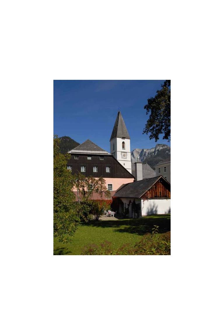 Blaue Traube 