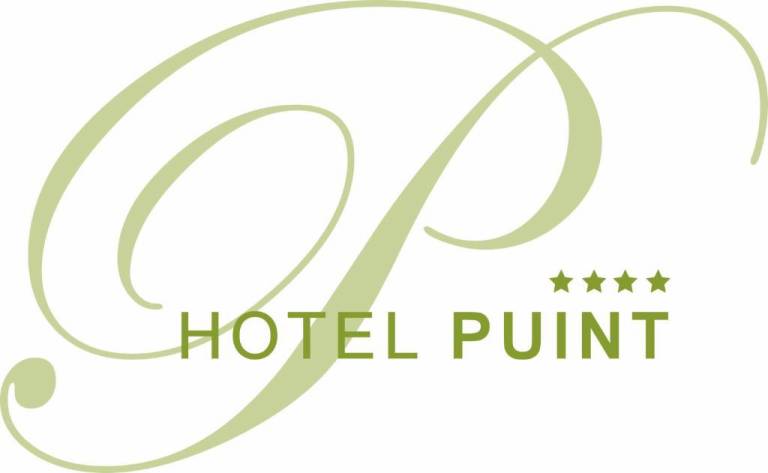Hotel Puint 