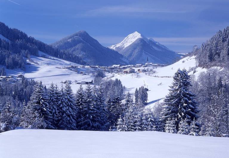 Haus Enzian 