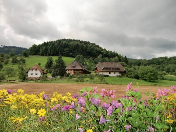 Haus Sonja  Германия, Глоттерталь