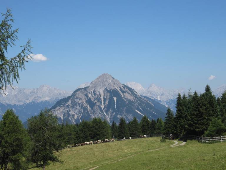 Haus Susi 