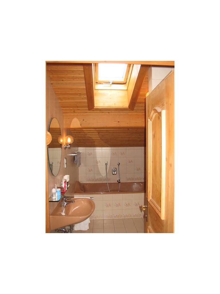 Alpchalet 