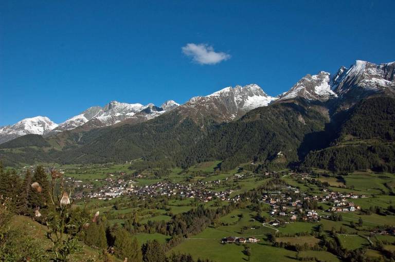 Mesnerhof 