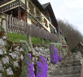 Haus Lenz  в Гальштате