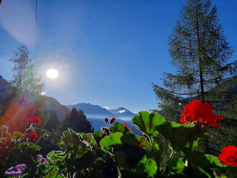 Grenerhof 