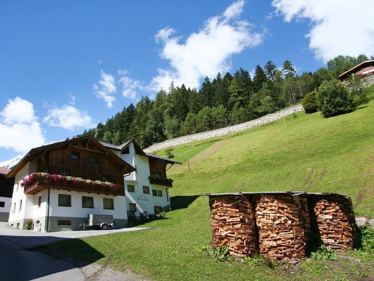 Wohnung 1  3* Австрия, Каппль