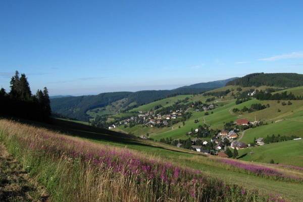Esche  Германия, Тодтнауберг