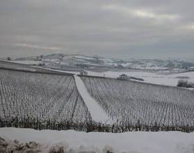 Holiday Home Nizza Bilo Sedici Diciotto Nizza Monferrato  в Ницца-Монферрато