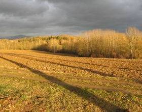 Отдых в Holiday Home Mugello Quattro Barberino Del Mugello  - Италия, Барберино-ди- Муджелло