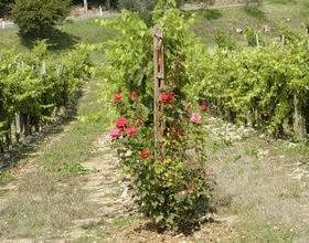 Holiday Home Papessa Trilo San Donato In Poggio  в Таварнелле-Валь-ди-Пезе