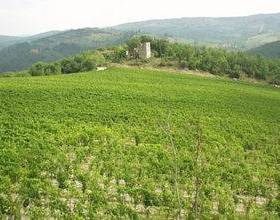 Отдых в Holiday Home Papessa Trilo San Donato In Poggio  - Италия, Таварнелле-Валь-ди-Пеза