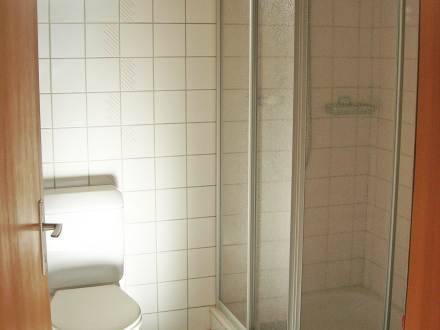 Apartment Alte Sustenstrasse Innertkirchen  4* Швейцария, Иннерткирхен