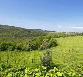 Apartment Il Cipresso Montelupo Fiorentino в Монтелупо-Фьорентино