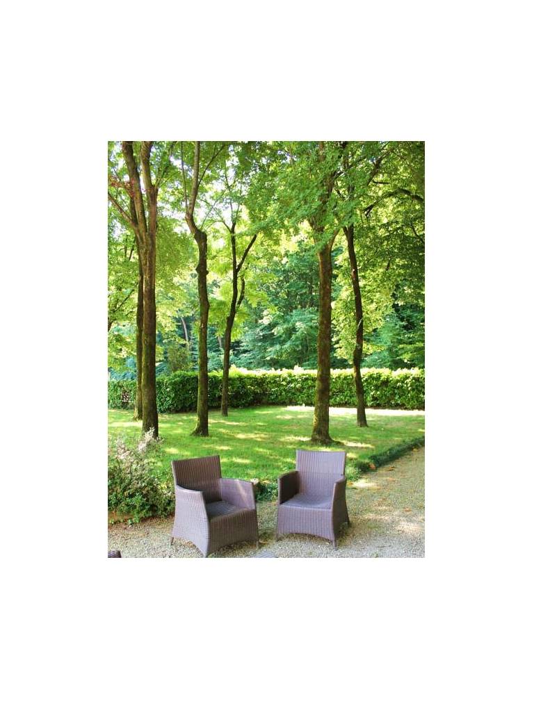 Swiss International Hotel Villa Patriarca 