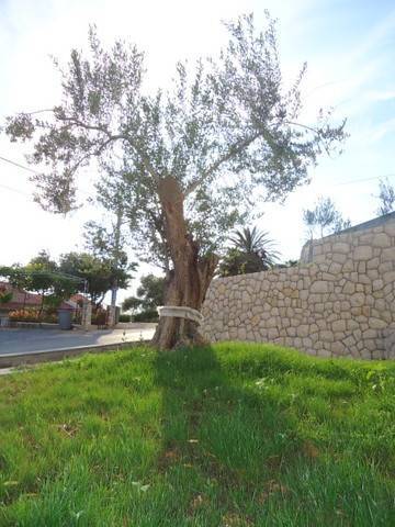 Exclusive Apartments Supetarska Draga  4* Хорватия, Раб
