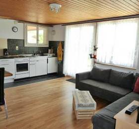 Apartment Zurcher Beatenberg-Waldegg  в Беатенберге
