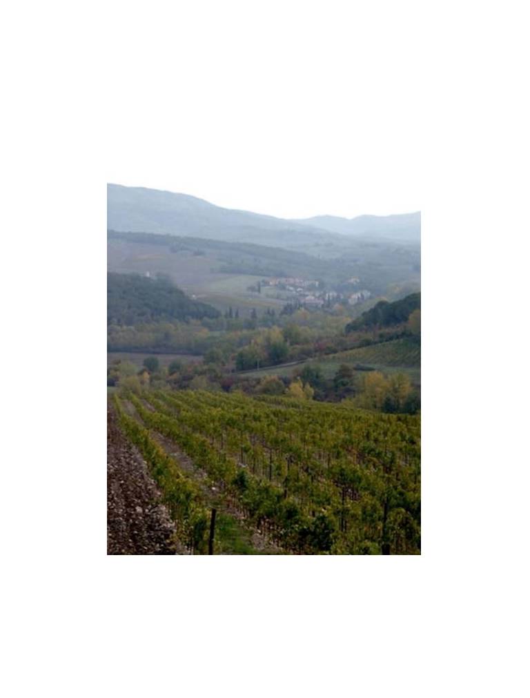 Chianti Promotion Casprini Da Omero 