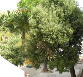 Отдых в Apartments and Rooms Stari Grad Rab  - Хорватия, Раб