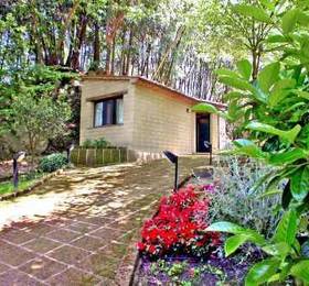Holiday Home Monolocale Pitigliano  в Питильяно