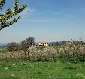 Отдых в Apartment Poggio Nuovo I Seggiano  - Италия, Седжано