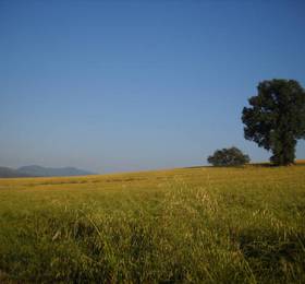 Agriturismo Il Borgo Nelle Querce  в Амелиа
