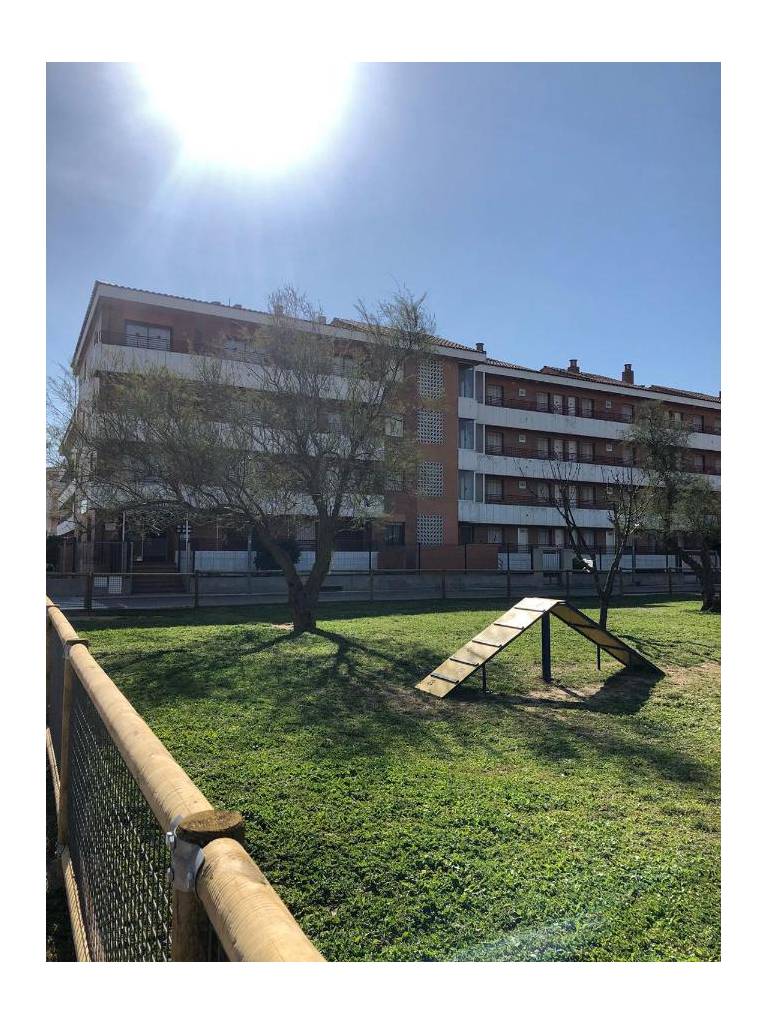 Apartamentos familiares Sa Gavina Gaudi