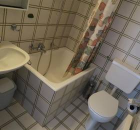 Apartment Anemone Nendaz Station в Нанде