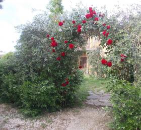 Туры в Agriturismo La Valle degli Ulivi в Италии