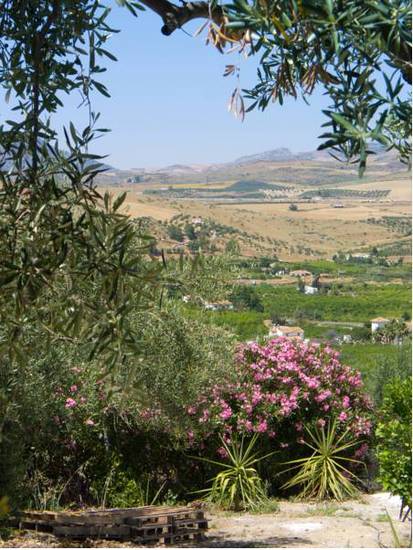 Alora Valley View Accommodations  Испания, Алора