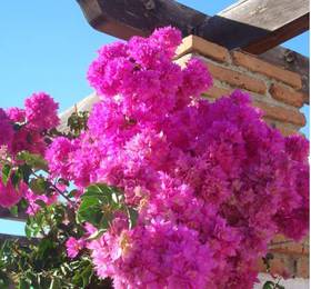 Alora Valley View Accommodations  в Алоре