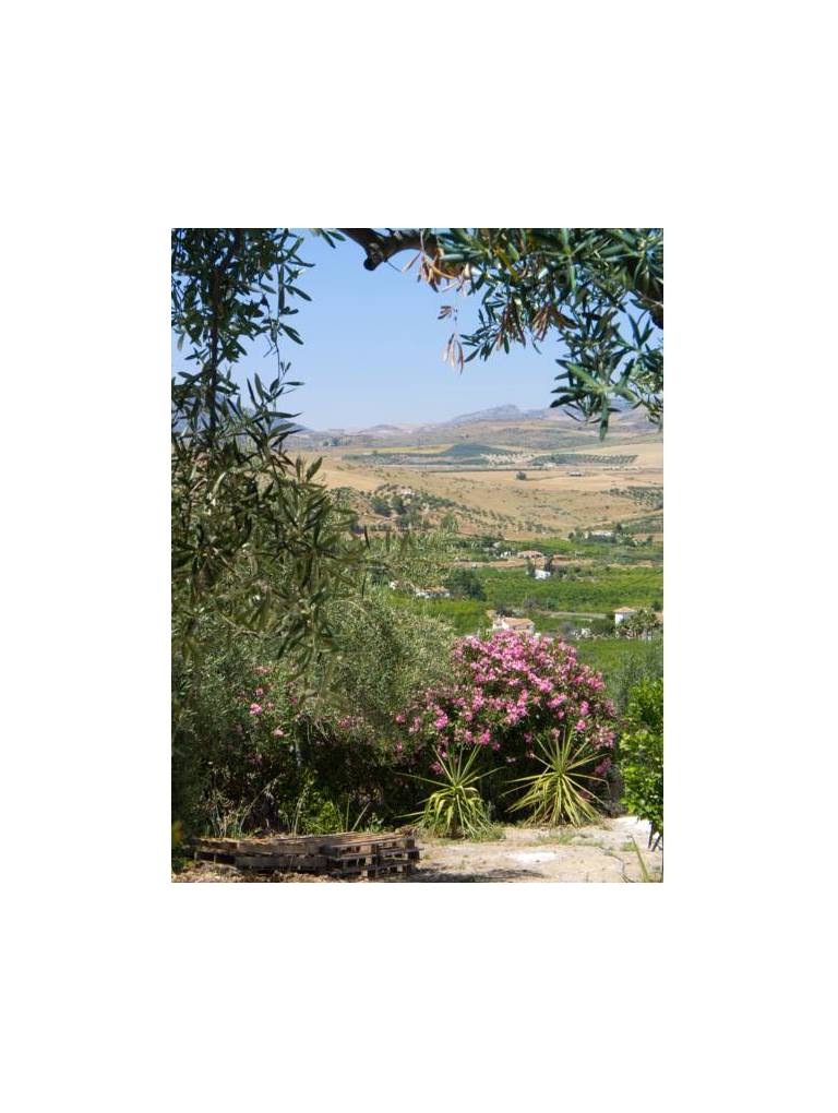 Alora Valley View Accommodations 