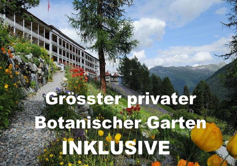 Snow & Mountain Resort Schatzalp 