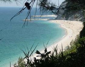 Туры в Apartment Cristina Morro D Alba  в Италии