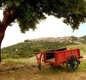 Holiday Home Papavero Scarlino в Скарлино