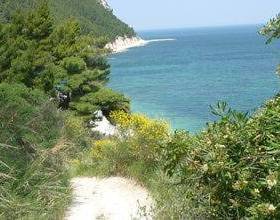 Отдых в Apartment Michele Morro D Alba  - Италия, Морро-д'Альба