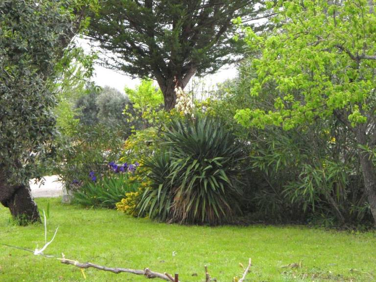 Holiday Home Tesoro Cisternino 