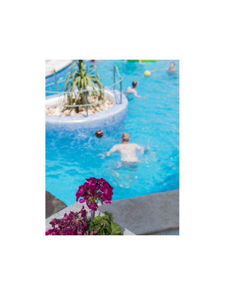 Aparthotel Millor Garden & Spa 